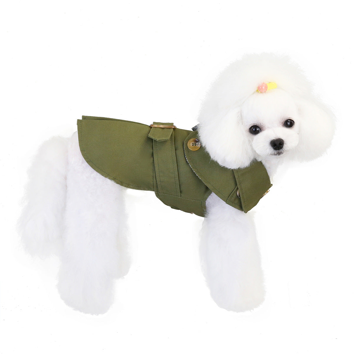 Pet clothes dog clothes autumn new 20 European and American three-color windbreaker small dog pet clothing winter wholesale