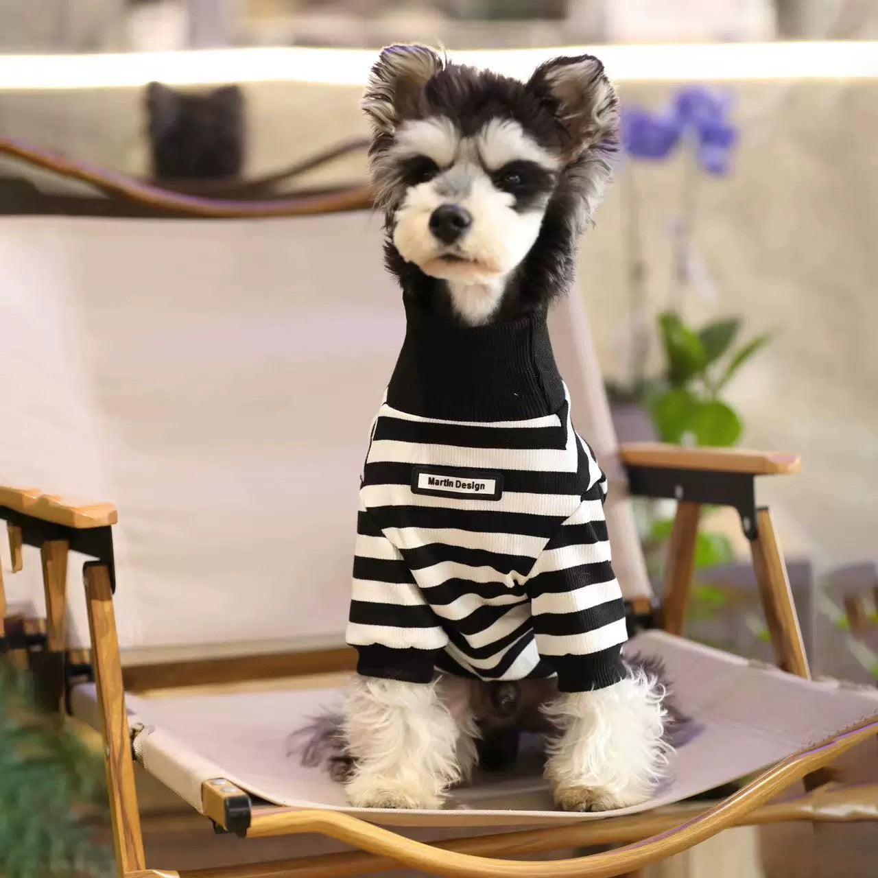Trendy High-Neck Zebra-Striped Autumn and Winter Inner Wear for Schnauzer, Bichon, Pomeranian, and Teddy Dogs
