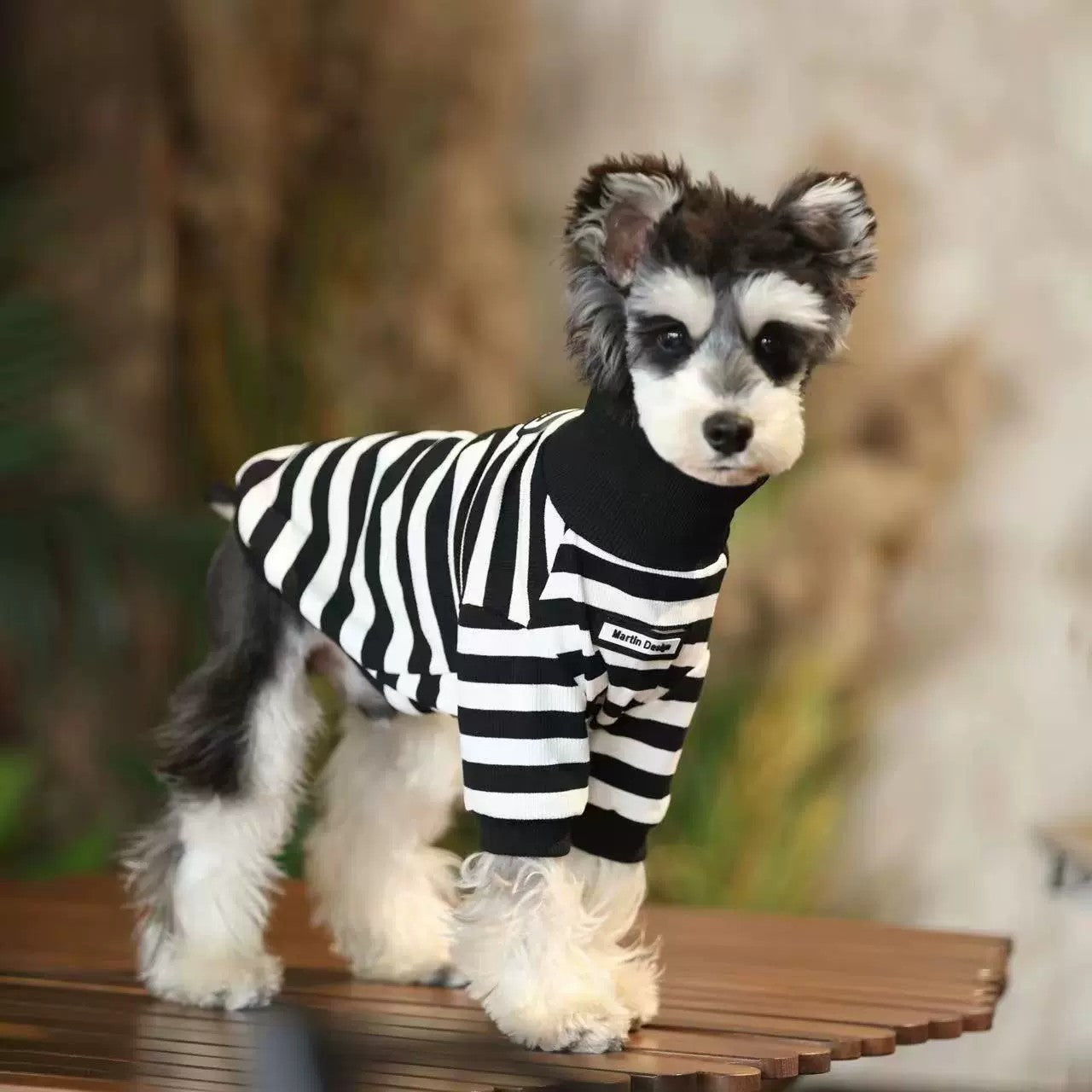 Trendy High-Neck Zebra-Striped Autumn and Winter Inner Wear for Schnauzer, Bichon, Pomeranian, and Teddy Dogs