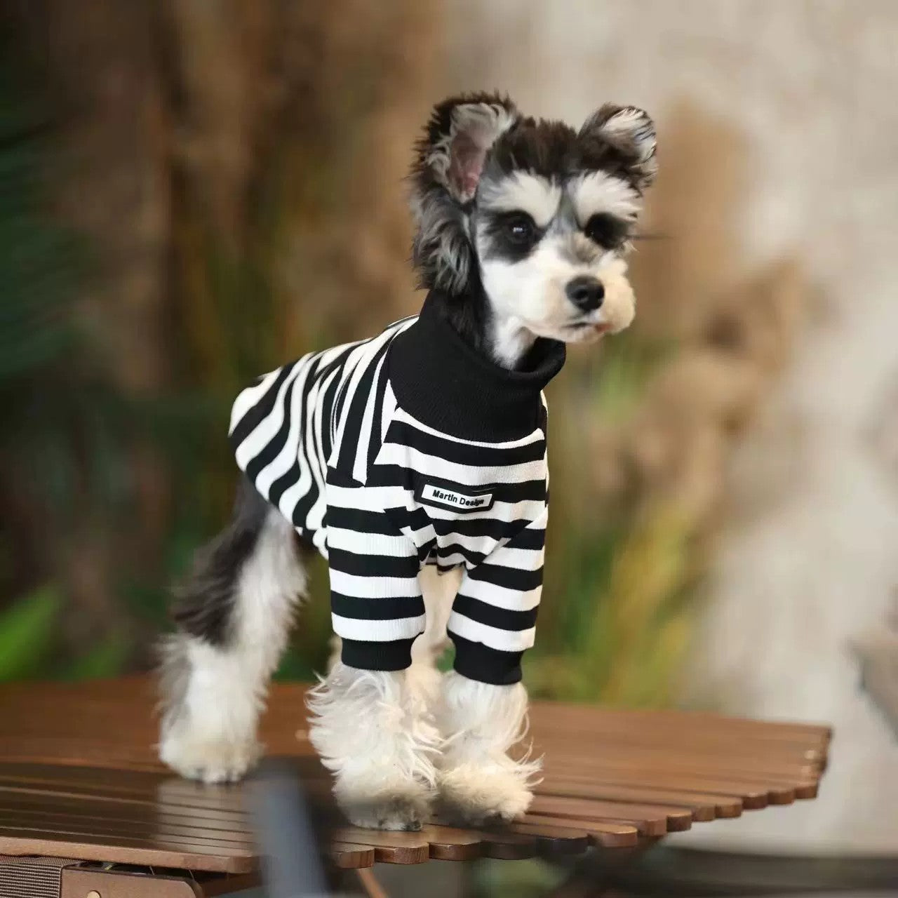 Trendy High-Neck Zebra-Striped Autumn and Winter Inner Wear for Schnauzer, Bichon, Pomeranian, and Teddy Dogs