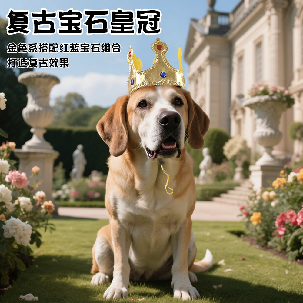 Amazon's New Pet Dog Transforms into a King's Cloak Pet Party Funny Decorative Cloak Transformation Costume